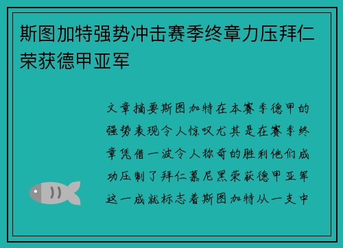 斯图加特强势冲击赛季终章力压拜仁荣获德甲亚军